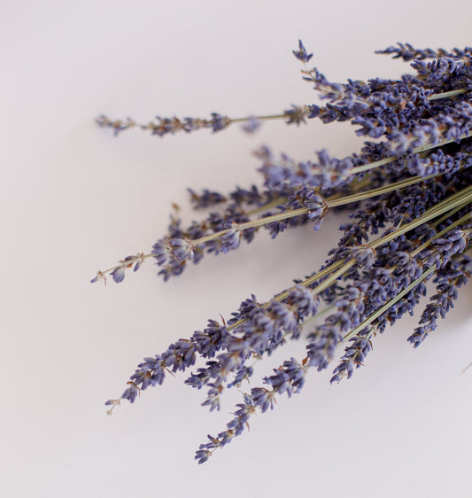 Top Home Fragrance Trends to Watch in 2025