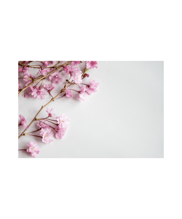 Floral Fragrances - Bougie Hermit 