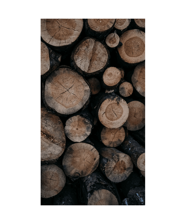 Woody Fragrances - Bougie Hermit 