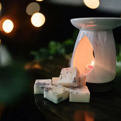 Cranberry & Spiced Ginger Christmas  Aroma Melt